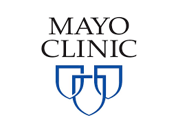 Mayo clinics collaborates with Brain Navi